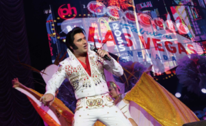 Beispielbilder Show Stars in Concert
