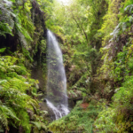 ReisenAktuell La Palma 5