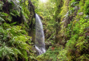 ReisenAktuell La Palma 5