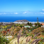 ReisenAktuell La Palma 9