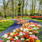 ReisenAktuell Arielle Holland Frühling Keukenhof
