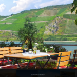 ReisenAktuell Rhein Hotel Lindenhof Terrasse