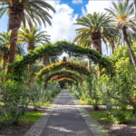Reisen Aktuell Langzeiturlaub Teneriffa Parque Garcia Sanabria