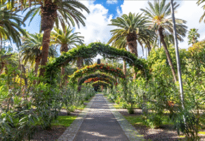 Reisen Aktuell Langzeiturlaub Teneriffa Parque Garcia Sanabria