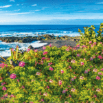 Reisen Aktuell Langzeiturlaub Teneriffa Strand
