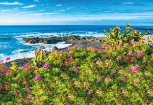 Reisen Aktuell Langzeiturlaub Teneriffa Strand