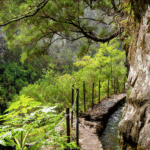 Reisen Aktuell Madeira Wasserkanäle