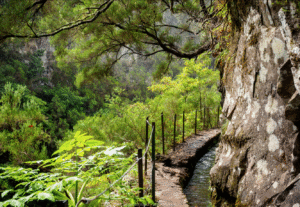 Reisen Aktuell Madeira Wasserkanäle