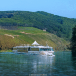 Reisen Aktuell Arielle