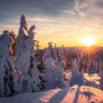 Reisen Aktuell Weihnachten Bayerischer Wald Landschaft