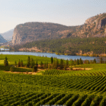 Reisen Aktuell Kanada Rundreise Okanagan Tal