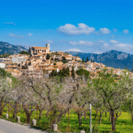 Reisen Aktuell Mallorca Mandelblüte Mandelbäume