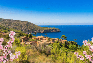 Reisen Aktuell Mallorca Mandelblüte Tramuntana Gebirge