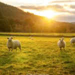 Reisen Aktuell Schottland Rundreise Landschaftspanorama Reisen Aktuell Schottland Rundreise Landschaftspanorama