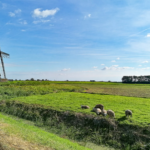 Ameropa De Willemstaad Nordholland Friesland3