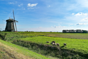 Ameropa De Willemstaad Nordholland Friesland3