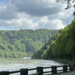 Ameropa MS Vivienne Donaukreuzfahrt1