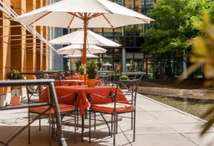 Reisen Aktuell Dresden Hotel Elbflorenz Gartenterrasse