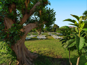 Alltours Rhodos Allsun Hotel Irene Palace Garten