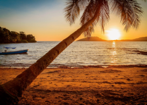 Berge Und Meer Südafrika MSC Armonia Madagaskar Nosy Be