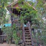 Khao Sok Tree Houses