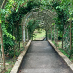 Penang Botanic Garden