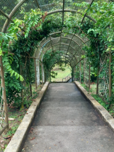 Penang Botanic Garden