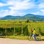 Reisen Aktuell Elsass Genussregion