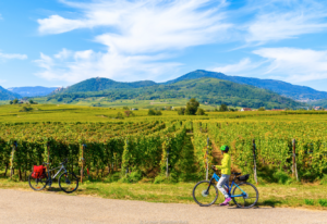 Reisen Aktuell Elsass Genussregion