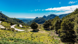 Trendtours Mallorca Mit Dem Ebike Coll De Soller