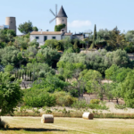Trendtours Mallorca Mit Dem Ebike Windmühle