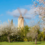 Trendtours Mallorca Mit Dem Ebike Windmühle Bei Santa Maria Del Cami