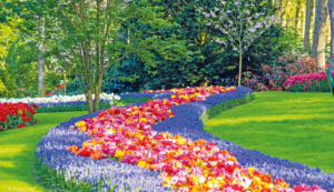 Trendtours Rhein Ins BlütenmeerKeukenhof