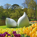Trendtours Rhein Ins Blütenmeer Keukenhof