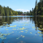Reisen Aktuell Bischofsmais Wagners Hotel Wastelsäge Arbersee