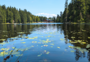 Reisen Aktuell Bischofsmais Wagners Hotel Wastelsäge Arbersee