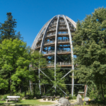 Reisen Aktuell Bischofsmais Wagners Hotel Wastelsäge Baumwipfelpfad