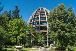 Reisen Aktuell Bischofsmais Wagners Hotel Wastelsäge Baumwipfelpfad