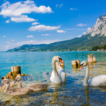 Reisen Aktuell Radrundreise Salzkammergut Attersee