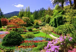 Reisen Aktuell Kanada Butchart Gardens