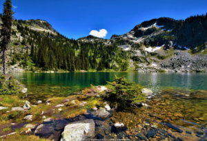 Reisen Aktuell Kanada Mount Revelstoke Nationalpark