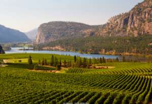 Reisen Aktuell Kanada Okanagan Tal