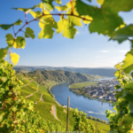 Reisen Aktuell Arielle Royal Malerische Mosel Reisen Aktuell Arielle Royal Malerische Mosel