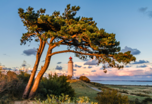 Reisen Aktuell Zauber Der Ostseeküste Leuchtturm Dornbusch Hiddensee
