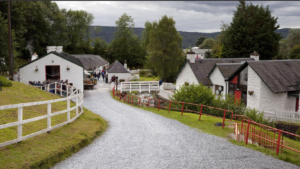 AME Jubiläumsreise Schottische Highlands Per Bahn 2027 6