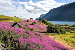 AME Norwegen Jubiläumsreise 2027 7