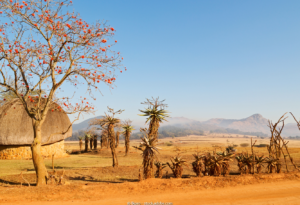 ReisenAktuell Südafrika Kleingruppe Eswatini