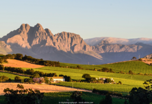 ReisenAktuell Südafrika Kleingruppe Weinregion