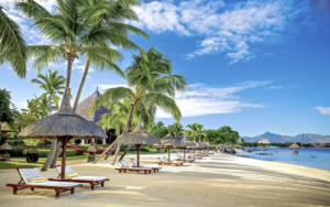 Dertour The Oberoi 8